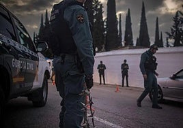 La Guardia Civil caza a un conocido ladrón de Granada