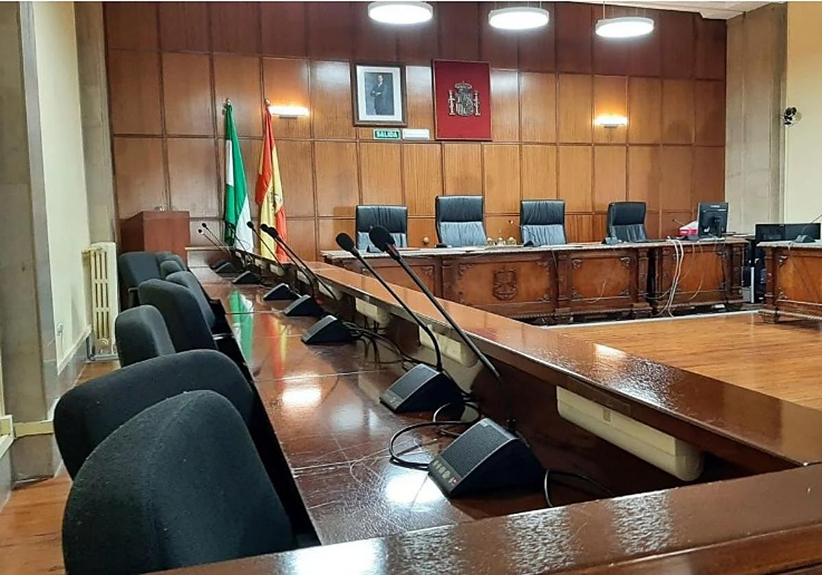 Condenado en Jaén a 600 euros de multa por pegar una patada a un gato callejero