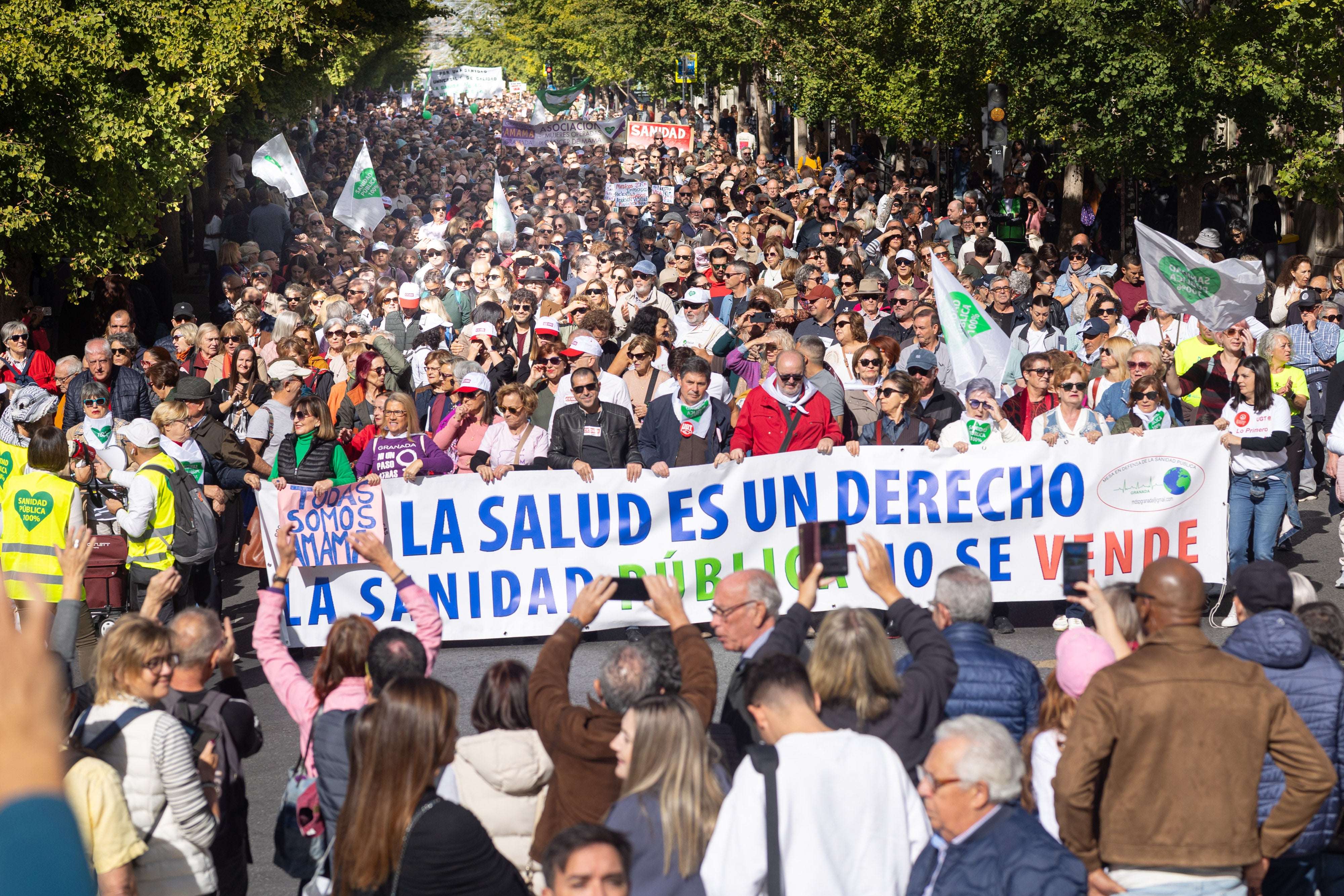 La manifestación en Granada en defensa de la Sanidad, en imágenes