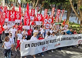 Cabecera de la manifestación organizada en Almería.
