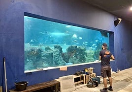 Un operario trabajando en el acuario de Almuñécar.