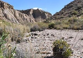 Es un recorrido que deja huella en quienes lo transitan.