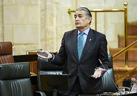 El consejero Antonio Sanz responde a preguntas de la oposición.