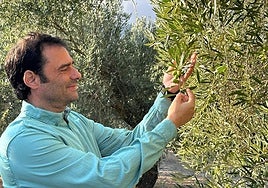 Antonio junto a uno de sus olivos.