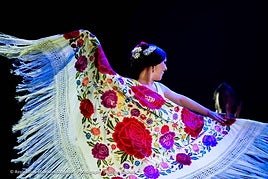 Cultura lleva la fuerza expresiva del arte 'jondo' a los museos en el Día del Flamenco