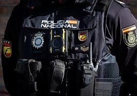 Arrestan a otro ladrón en Albayda con más de 80 antecedentes previos.