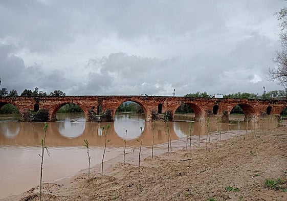 Andújar ejecuta un proyecto para la reducción del riesgo de inundaciones