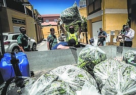 La Guardia Civil de Granada, en una operación antidroga.