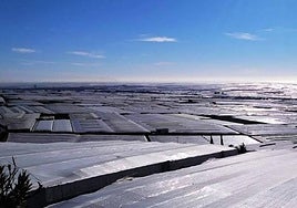 Invernaderos en el Poniente almeriense.