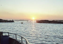 De antiguos espacios salineros a líder acuícola: cómo Andalucía ha conquistado el sector