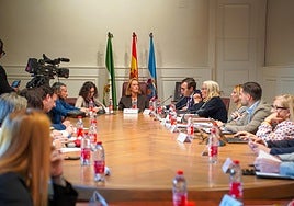 Pleno extraordinario en el Ayuntamiento de Motril este martes.