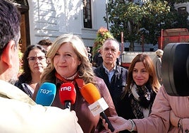 Vox formaliza la demanda de anulación de la zona de bajas emisiones