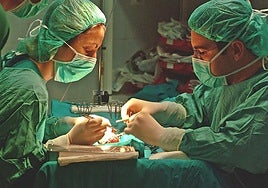 Los almerienses destacan por su solidaridad en la donación de órganos.