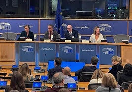 El rector de la Universidad de Granada, Pedro Mercado, en el Parlamento europeo junto a Juan Fernando López Aguilar, alumni de honor de la UGR.