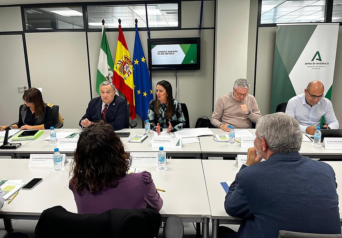 Acaba la temporada de riesgo alto de incendios en Almería con 2.389 hectáreas quemadas, la mayoría matorral