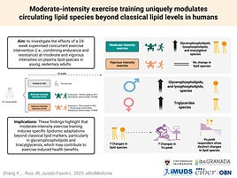 Una investigación de la UGR revela que el ejercicio físico moderado tiene grandes beneficios en las grasas de la sangre