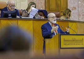 El portavoz de la Marea Blanca de Andalucía, Sebastián Martín Recio, interviene en el Parlamento.