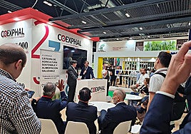 Coexphal critica que la Eurocámara apruebe un etiquetado «tramposo» para las hortalizas del Sáhara Occidental