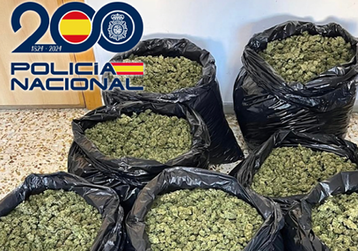 Marihuana intervenida por la Policía Nacional en Matagorda.