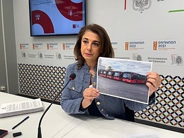 Raquel Ruz en rueda de prensa.