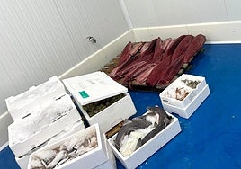 La Junta incauta en Mercasevilla más de una tonelada de productos pesqueros sin garantías de consumo.
