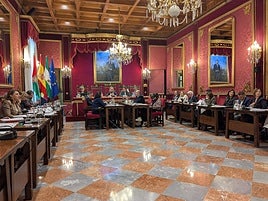 Pleno de Granada de este viernes.