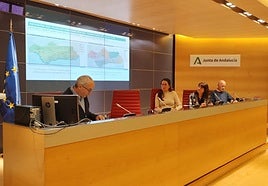 Presentación del documento del POTA en Almería.