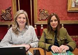 Vox reprocha al PP que la mejora económica no llegue a los granadinos