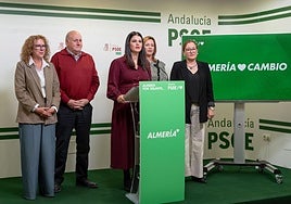 Diputados del PSOE de Almería, en la sede del partido.