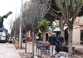 Trabajos para la colocación de árboles en el tramo finalizado del Paseo de Almería.