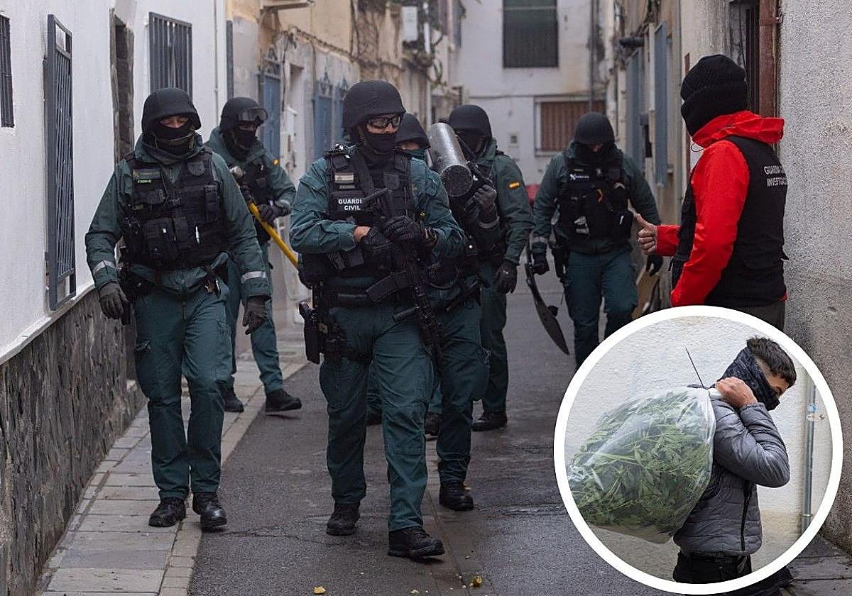 Incautan más de 2.500 plantas de marihuana en varias viviendas del centro de Santa Fe