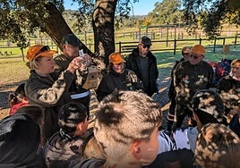 Cajas nidos colocados.