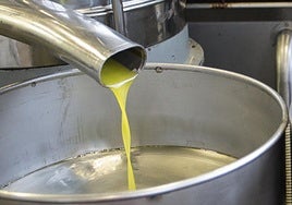 Aviso de los expertos por el precio del aceite de oliva tras el inicio de la nueva campaña.