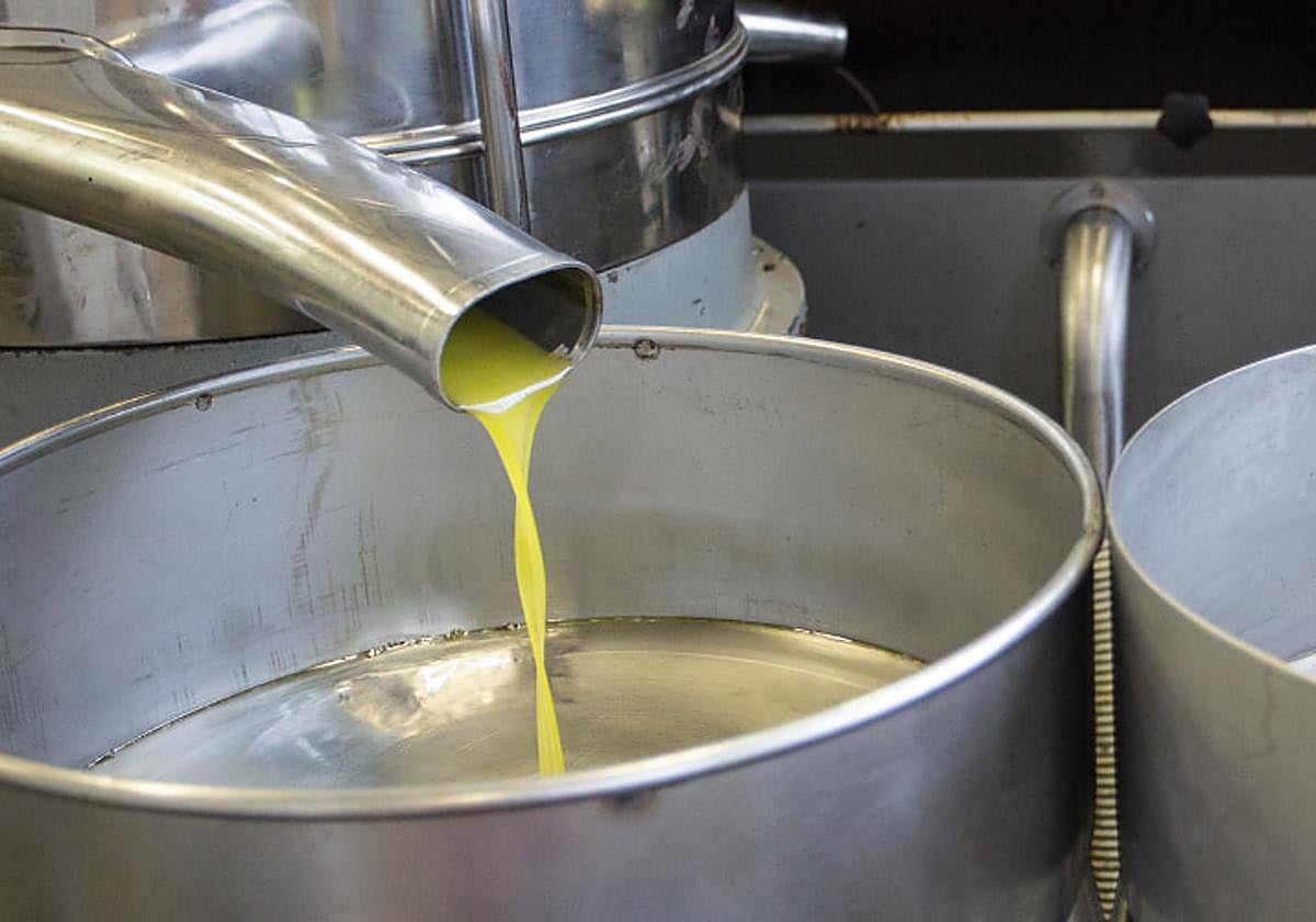 Aviso de los expertos por el precio del aceite de oliva tras el inicio de la nueva campaña.