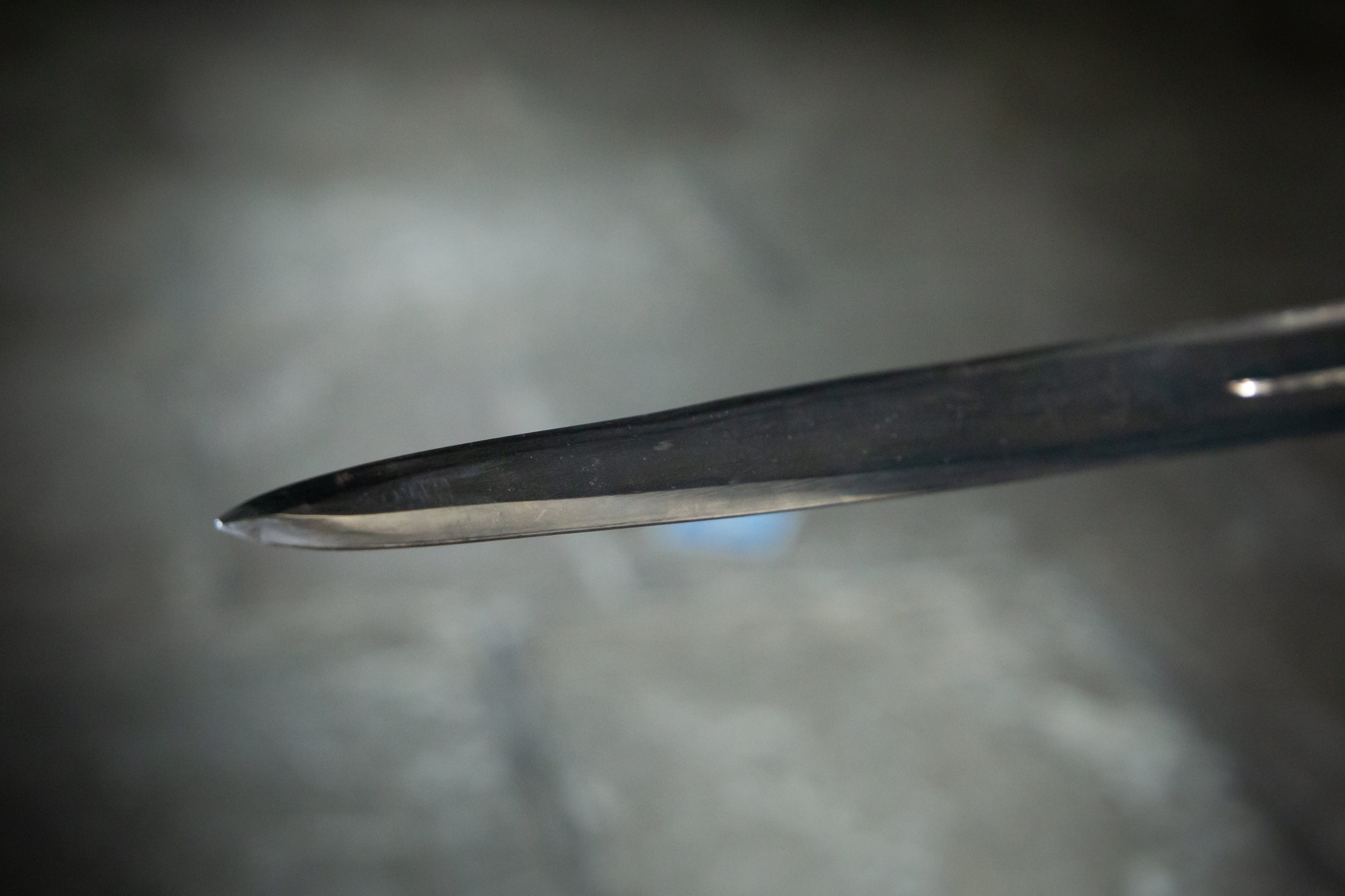 El legado de Hermengildo Lanz