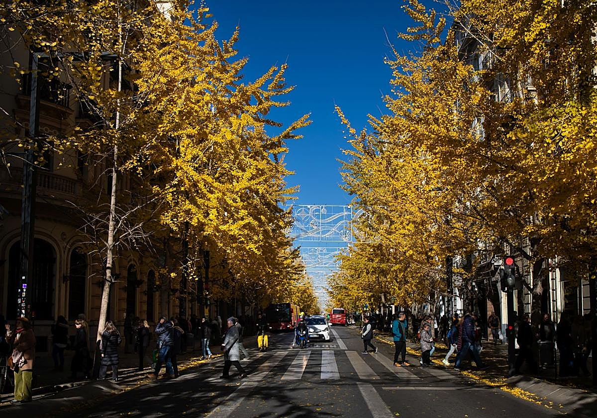 Imagen otoñal que ofrece Gran Vía estos días.