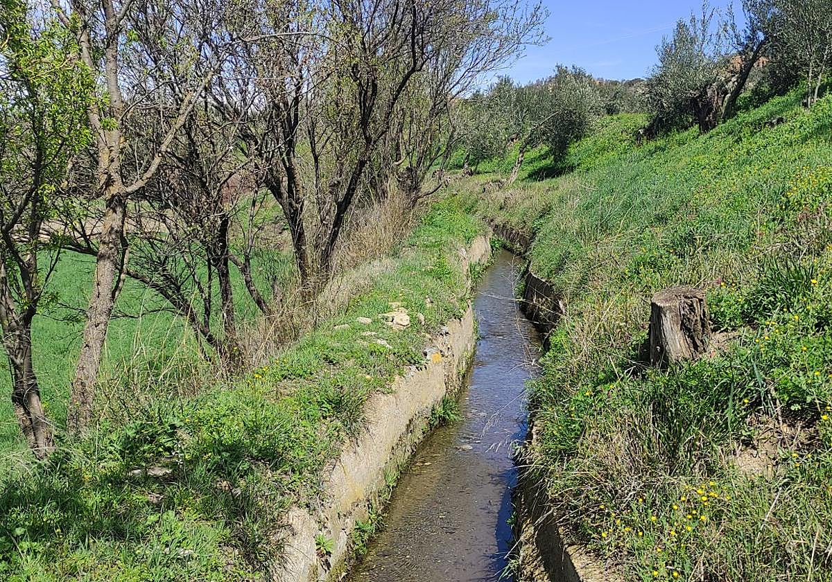 Comunidades de regantes de todo el país se reúnen en Granada en defensa del regadío histórico y tradicional
