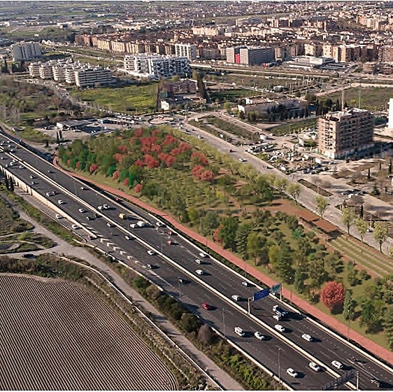 El anillo verde roza los 130.000 árboles plantados cinco años después