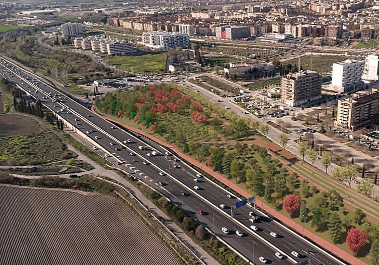 El anillo verde roza los 130.000 árboles plantados cinco años después