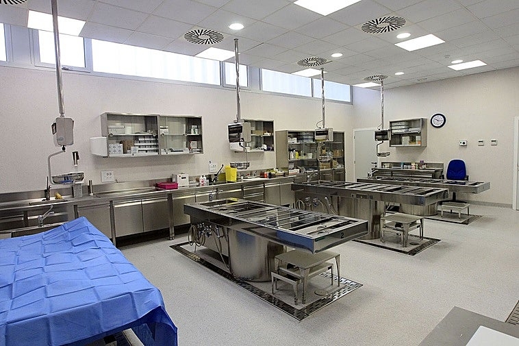 Tres forenses y un técnico del Instituto de Medicina Legal de Granada se trasladan a Córdoba