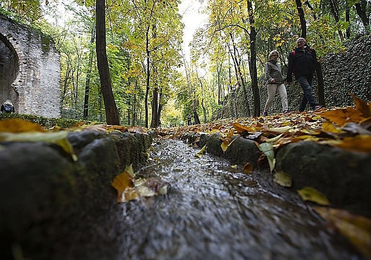 Cerrados el bosque de Gomérez y la cuesta de los Chinos por fuertes rachas de viento