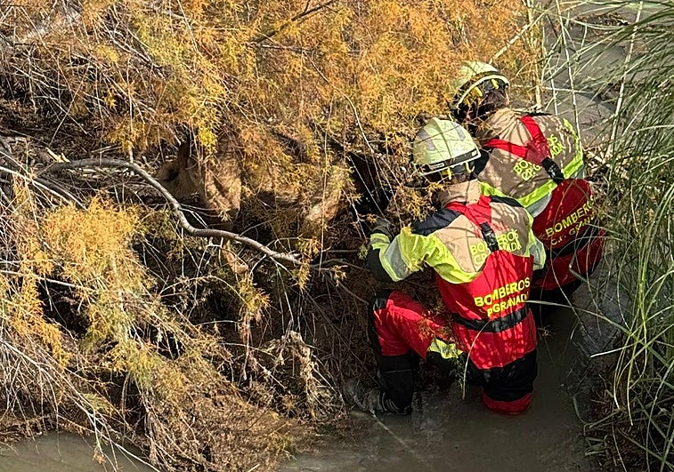 Rescatan a un perro en el río Guadalfeo en Salobreña y otro continúa atrapado