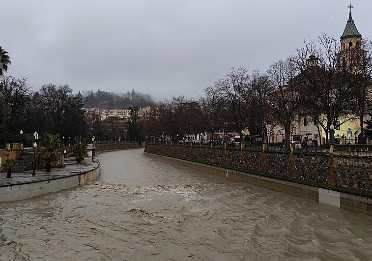 Así luce el Genil a su paso por la capital tras el último deshielo de Sierra Nevada