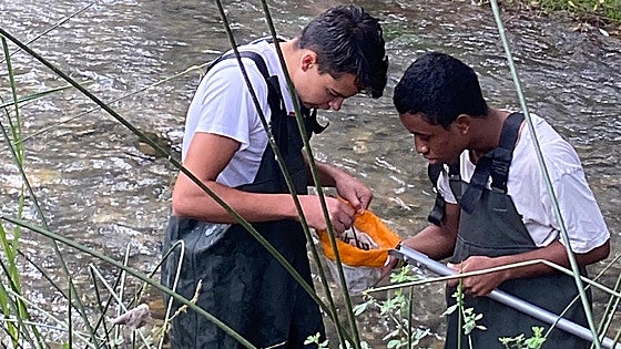 ODS 6: Agua limpia y saneamiento
