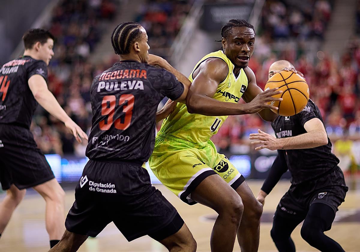 Nueva victoria del Covirán Granada en el Palacio 