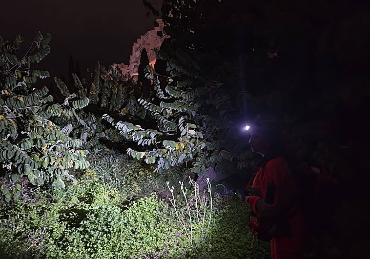 Un hombre hiere con un martillo a su yerno en Almuñécar y después se suicida