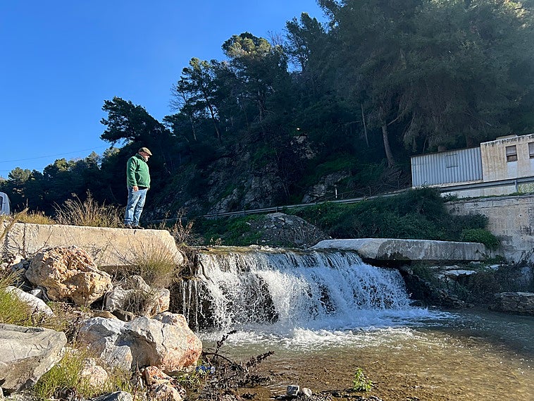 «Han sido 10 años de sufrimiento: perdí 17.000 kilos de aguacates del tirón»