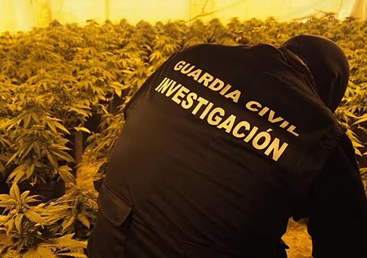 El enorme caserío de Granada que olía a marihuana porque unos okupas lo llenaron de droga