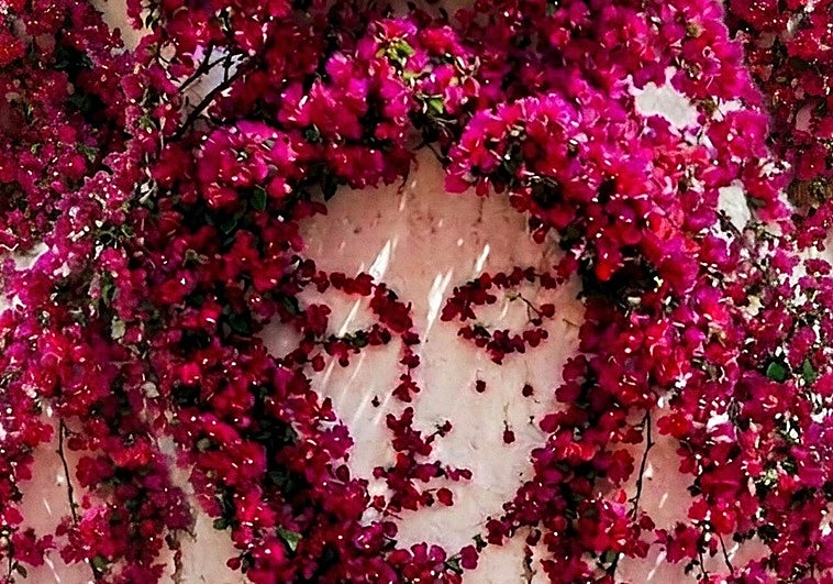 La Aurora lidera el mayor cortejo de la Semana Santa de Granada en un Jueves Santo retransmitido por RTVE