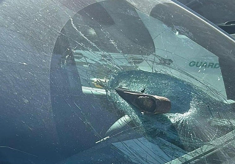 «Al darme la vuelta, ellas estaban tiradas en el suelo; él ha tirado el hacha y ha salido corriendo»